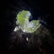 mi