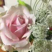 MARONの画像
