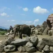 かーりいの画像