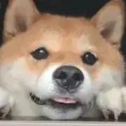 しょこらての画像