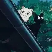 まめだいふくの画像