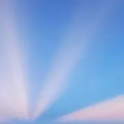 wabiの画像