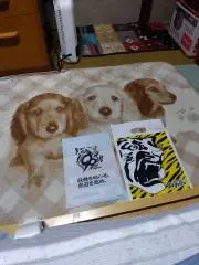とよちゃん犬の画像
