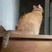 たると°° ✂︎の画像