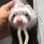 ゆぅまん
