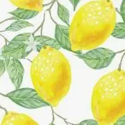 はやまの画像