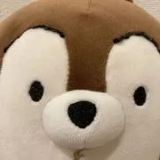 みぃの画像