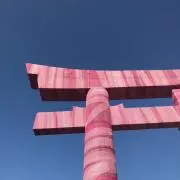 Tadの画像