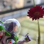 BUZZの画像