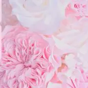 み。