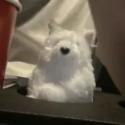nの画像