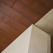 moの画像