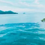 トロロ