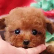 もこの画像