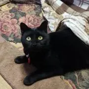 ひなた♡♡