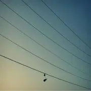sab-jの画像