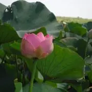 !!!!!の画像