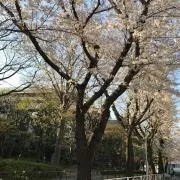 mjgtの画像
