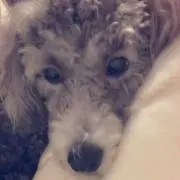 潤Pの画像