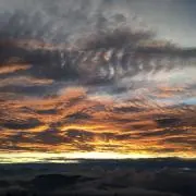 すももの画像