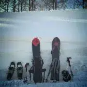 TTの画像