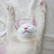 ゆーぞー 思い切り断捨離中