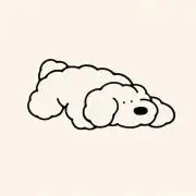 raraの画像