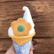 aotoの画像