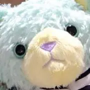 なべっちの画像