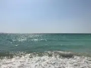 いっちーの画像