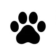 Paw