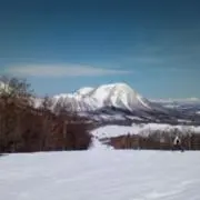 あおの画像