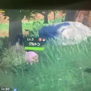 ま、よねーずの画像