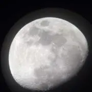 刺身醤油の画像