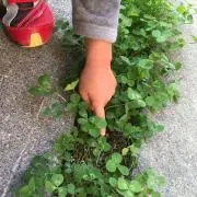 himikaの画像