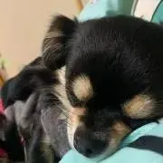 わんらいふ（プロフ秘読）10/17更新