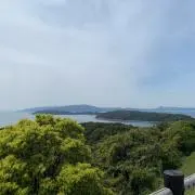 とらさんの画像