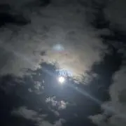 (　'-' )