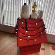 あいりの画像