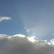 まめめの画像