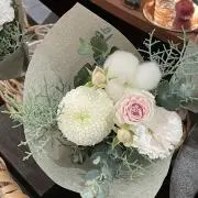 sasa1