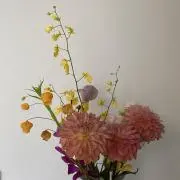 kewの画像