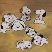 すぬの画像