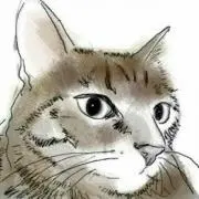 とらママ