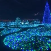 きむらの画像