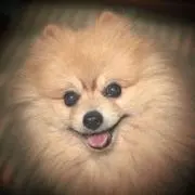かっちゃん
