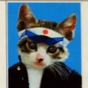 一茶の画像