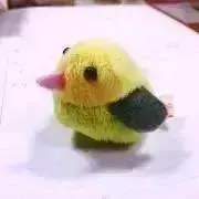 ゆの画像