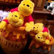 きーちゃんの画像