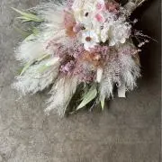 りんごの画像